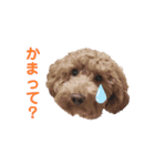 銭谷家。（個別スタンプ：15）