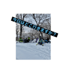 雪上暴走族（個別スタンプ：4）
