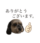 はちくんすたんぷB（個別スタンプ：4）