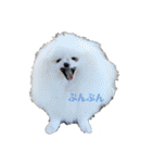 ふたりのいぬたち（個別スタンプ：6）