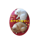ふたりのいぬたち（個別スタンプ：9）