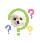ふたりのいぬたち（個別スタンプ：18）