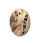 ふたりのいぬたち（個別スタンプ：20）