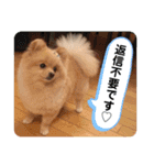 ふたりのいぬたち（個別スタンプ：22）