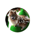ふたりのいぬたち（個別スタンプ：23）