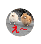 ふたりのいぬたち（個別スタンプ：31）