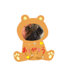 パグパグパラダイス③（個別スタンプ：2）