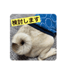 パグパグパラダイス③（個別スタンプ：7）