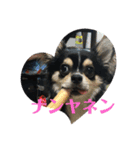 琥太郎トゥデイ（個別スタンプ：5）