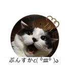 ゆかーしーすたんぷ（個別スタンプ：3）