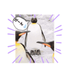 ゆかーしーすたんぷ（個別スタンプ：4）