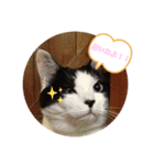 ゆかーしーすたんぷ（個別スタンプ：7）