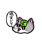 かしわハムちゃんのたずねるねずみスタンプ（個別スタンプ：10）