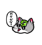 かしわハムちゃんのたずねるねずみスタンプ（個別スタンプ：15）