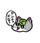 かしわハムちゃんのたずねるねずみスタンプ（個別スタンプ：24）