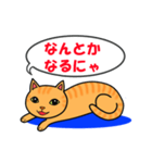 可愛いくつろぎ猫（個別スタンプ：13）