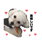 日常の幸せ3Poodle♬（個別スタンプ：30）