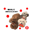 日常の幸せ3Poodle♬（個別スタンプ：32）