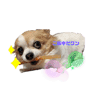 ぺーしぃーココ（個別スタンプ：3）