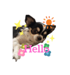 ぺーしぃーココ（個別スタンプ：10）