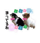 ぺーしぃーココ（個別スタンプ：14）