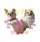 ぺーしぃーココ（個別スタンプ：17）