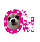 ぺーしぃーココ（個別スタンプ：18）