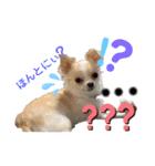 ぺーしぃーココ（個別スタンプ：30）
