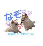 ぺーしぃーココ（個別スタンプ：32）
