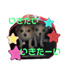 ぺーしぃーココ（個別スタンプ：33）