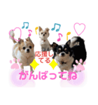ぺーしぃーココ（個別スタンプ：40）