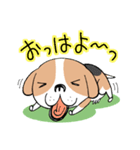 おうち犬バッキン（個別スタンプ：1）