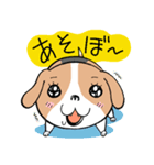 おうち犬バッキン（個別スタンプ：3）