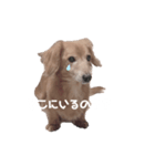 ちょこっとちょこちゃん！（個別スタンプ：2）