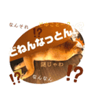 岡山弁 柴犬スタンプ´•ᴥ•`（個別スタンプ：8）