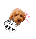 ラブリーごん太トイプードル兄妹2（個別スタンプ：6）