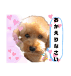 ラブリーごん太トイプードル兄妹2（個別スタンプ：39）
