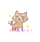 にゃんこ(名前はまだにゃい)（個別スタンプ：1）