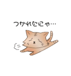 にゃんこ(名前はまだにゃい)（個別スタンプ：17）