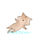 にゃんこ(名前はまだにゃい)（個別スタンプ：19）