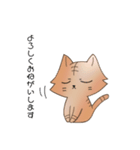 にゃんこ(名前はまだにゃい)（個別スタンプ：26）