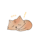 にゃんこ(名前はまだにゃい)（個別スタンプ：35）