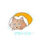 にゃんこ(名前はまだにゃい)（個別スタンプ：38）