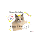 だいふくスタンプ③（個別スタンプ：16）