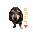 Ciao(チャオ)のスタンプ（個別スタンプ：3）