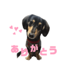 Ciao(チャオ)のスタンプ（個別スタンプ：6）