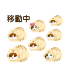 猫のタビッチ！ 写真スタンプ（個別スタンプ：28）