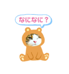 猫のタビッチ！ 写真スタンプ（個別スタンプ：35）