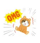 猫のタビッチ！ 写真スタンプ（個別スタンプ：36）