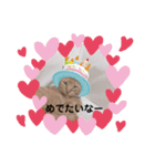 ゆてんちのにゃんず2（個別スタンプ：8）